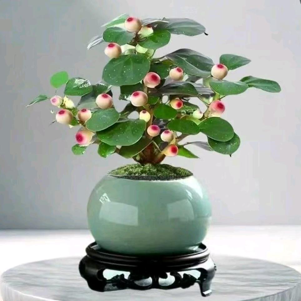 添添分享