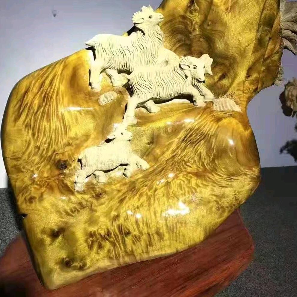 桢木缘金丝楠