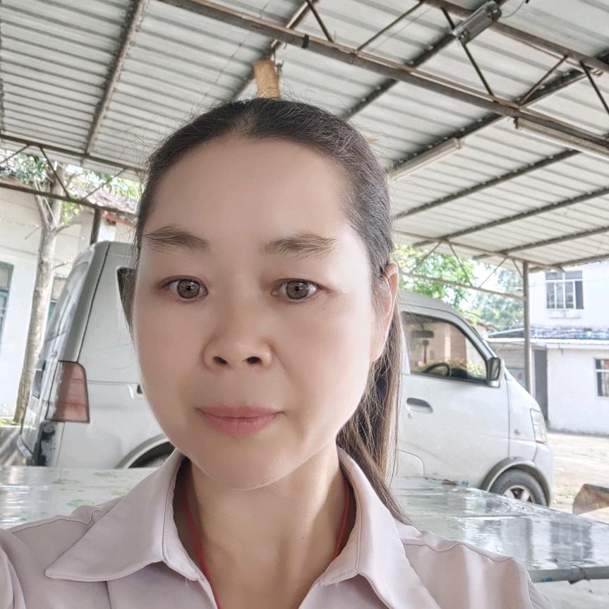 凤清歌潮