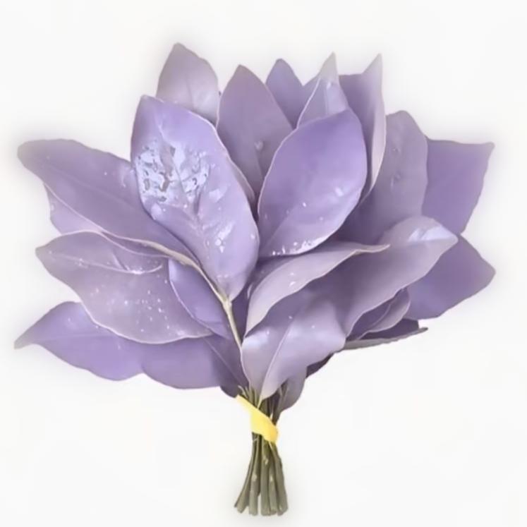 一桑露一.🌷（因开学去世版）