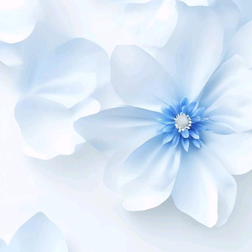 ♿️风已吹过❄️❄️❄️