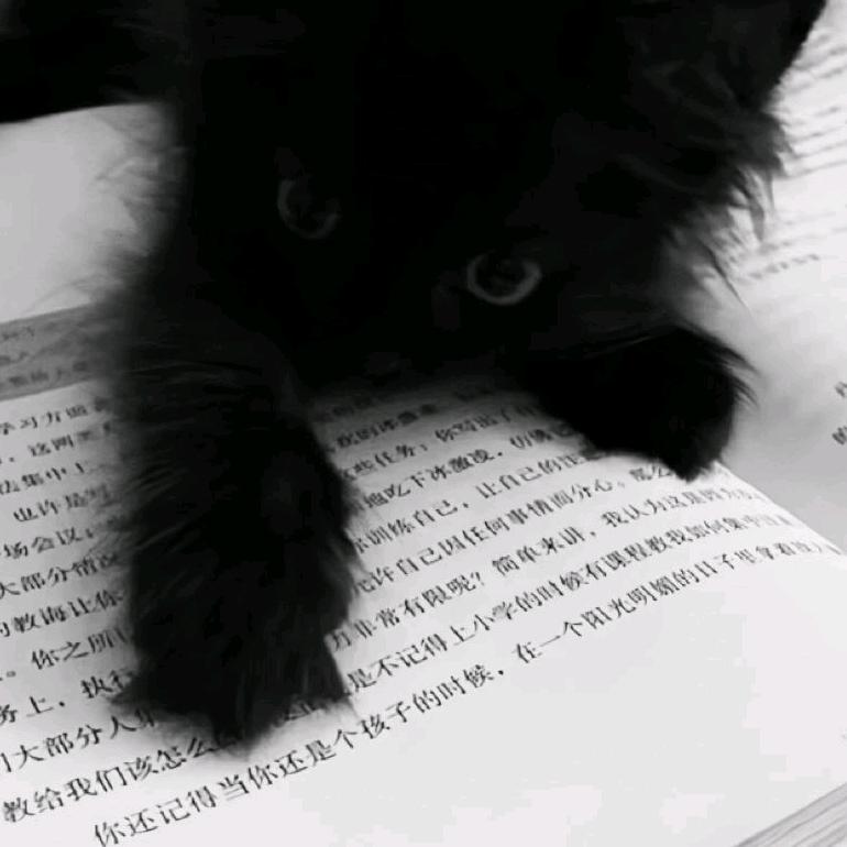 起飞（逆水寒手游）