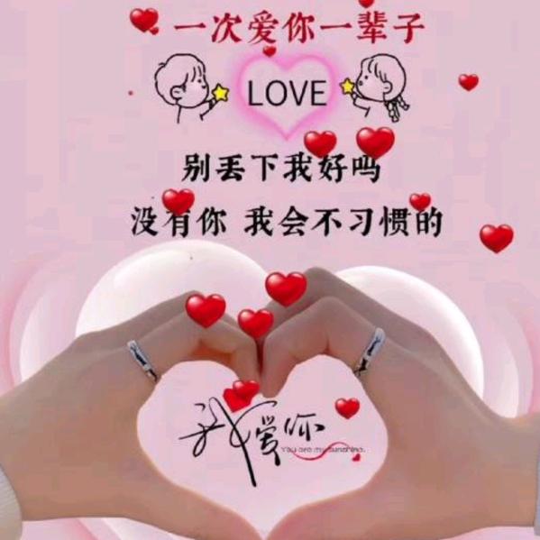飛龍刘欣