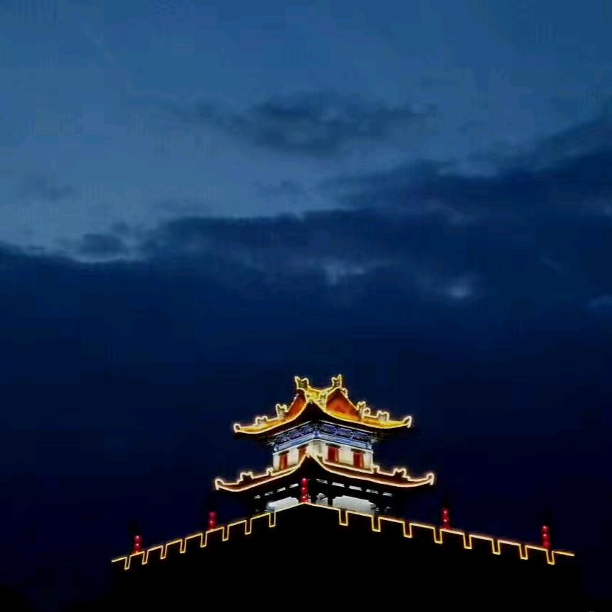 苏木