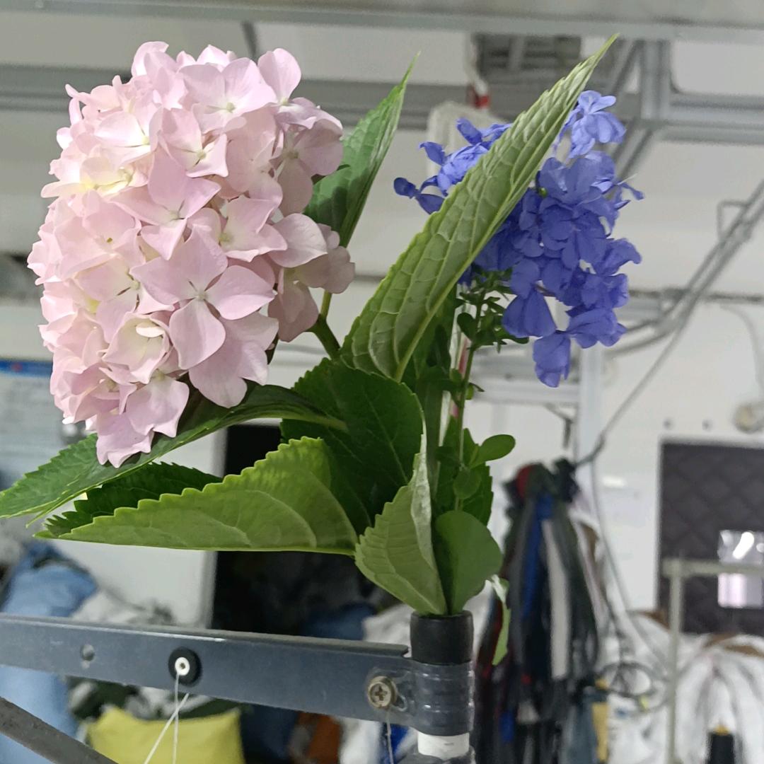 城市淘汰的第一批80后