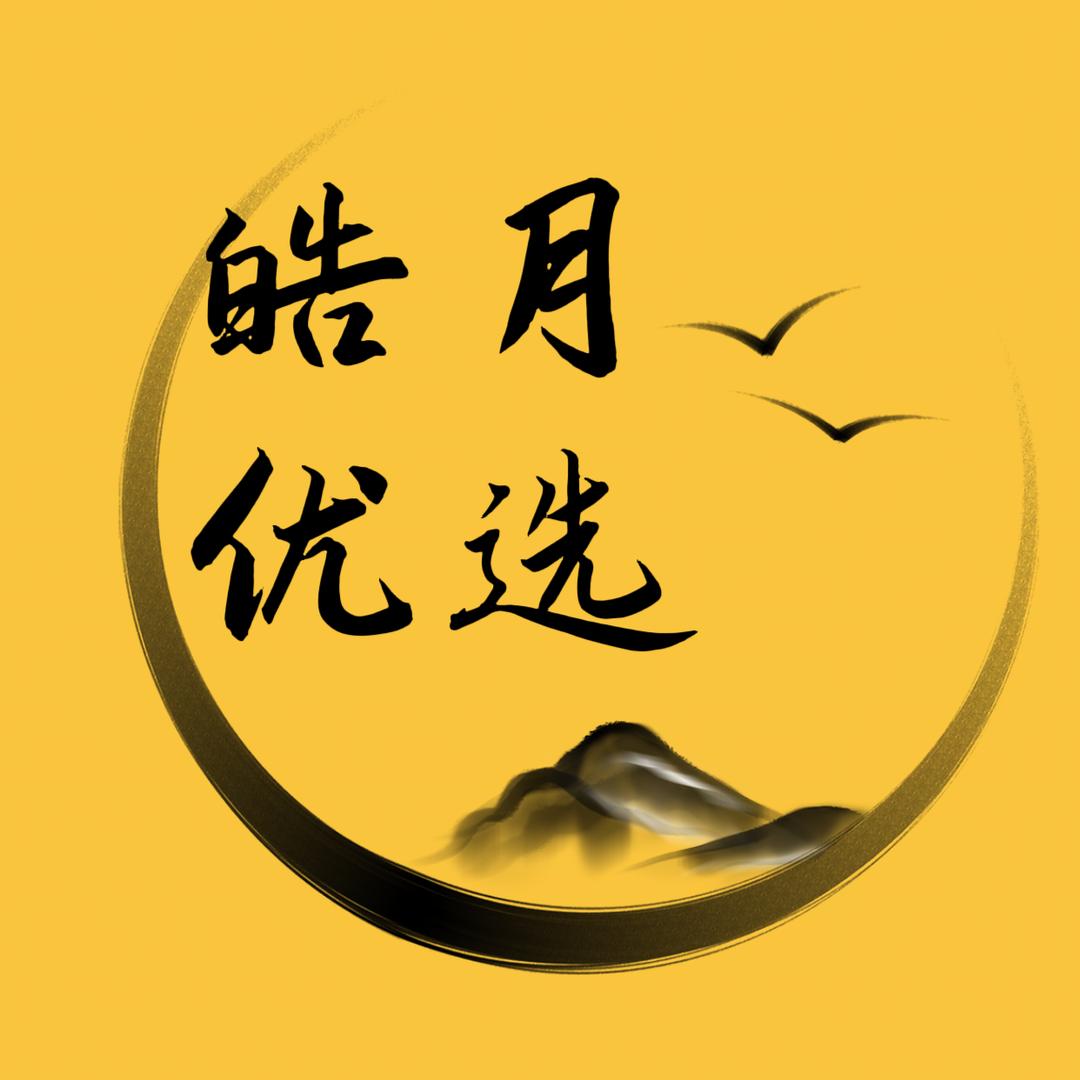 皓月优选