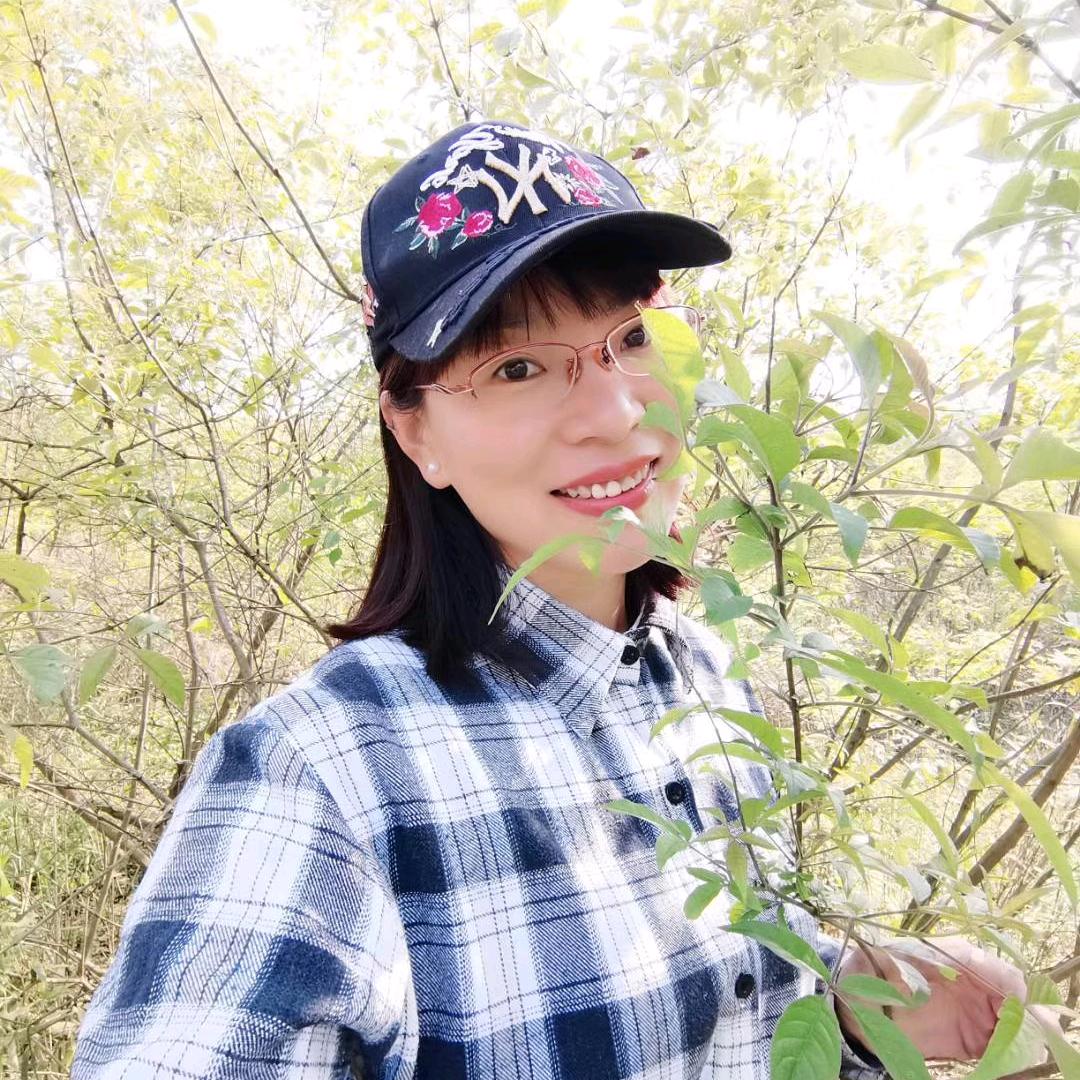 燕归巢“zhao”