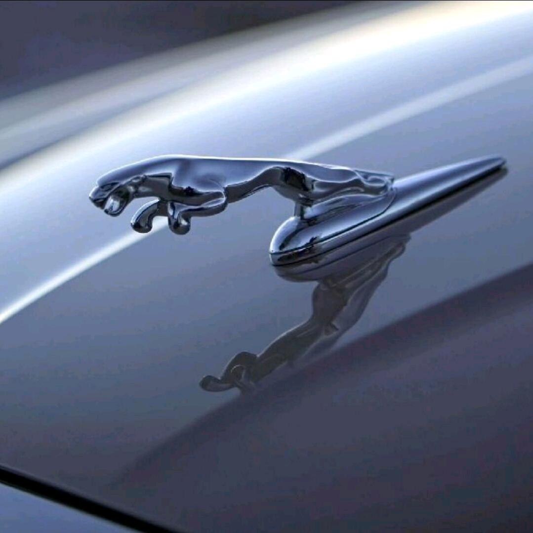 苍狼•博尔特•赤纳