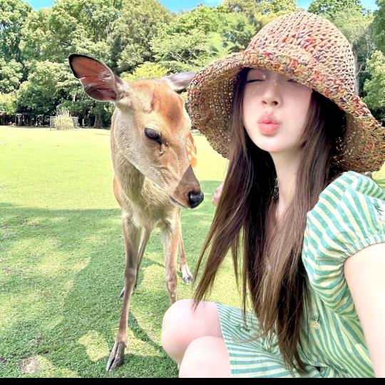 半生不熟的栗子