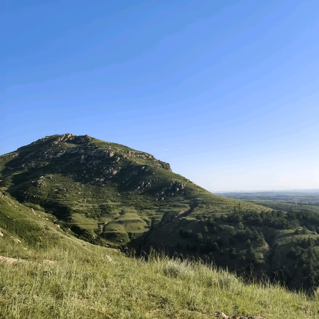 和林师大盛乐首家糖醋鸡丝饼