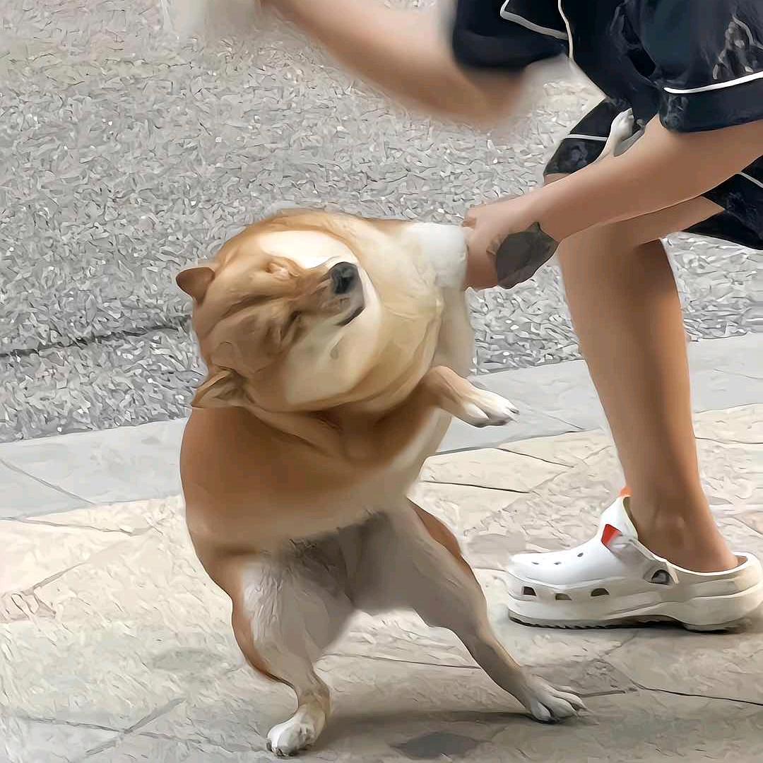 天天都想赚钱