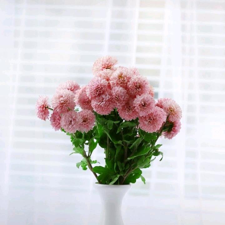 点点