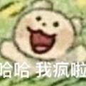 腹黑的鸡肉卷头像