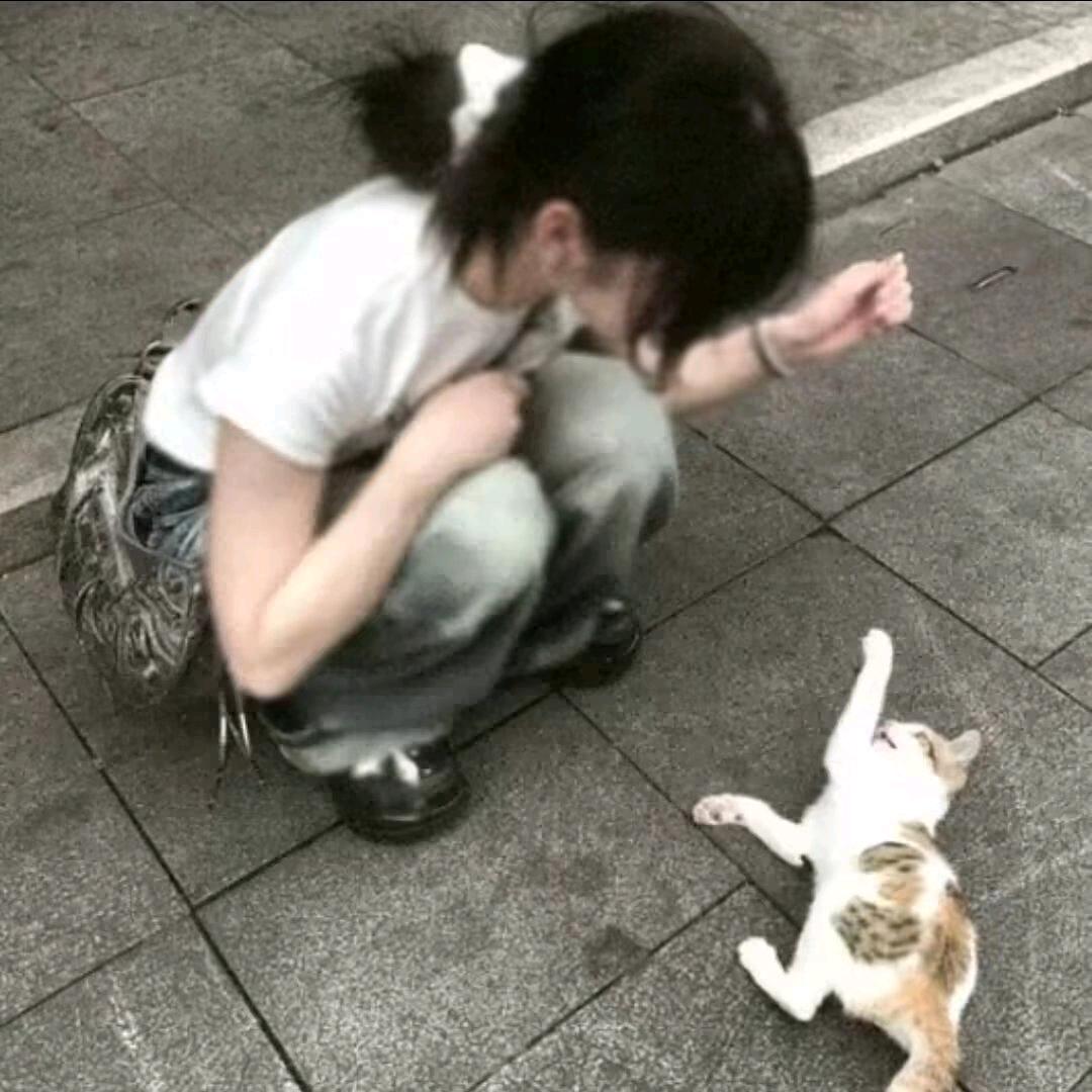 003。