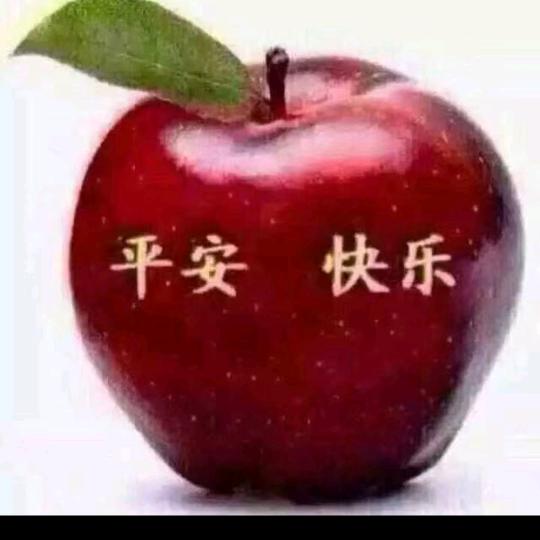 心心每一天