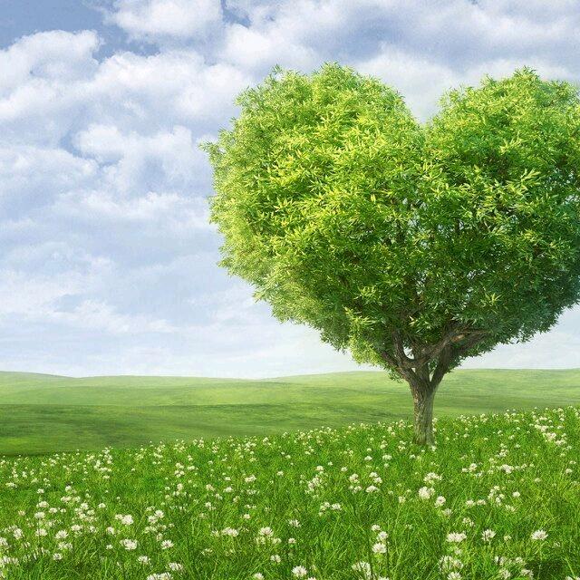 时光(∗❛ัᴗ❛ั∗)