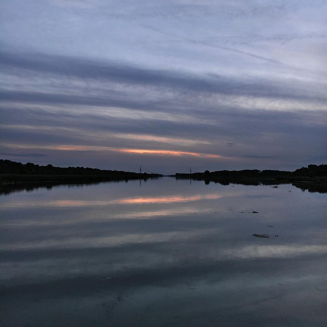 草丛里逃跑的海象