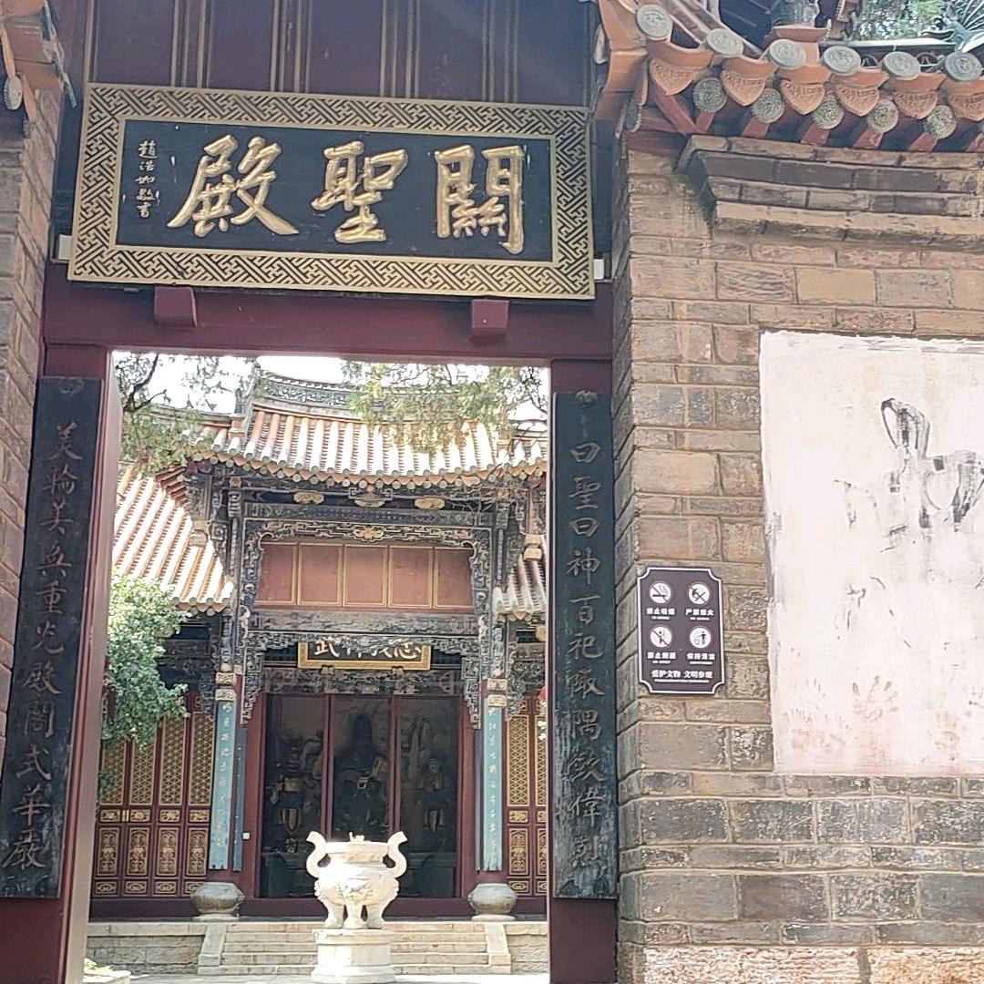 混的蒋