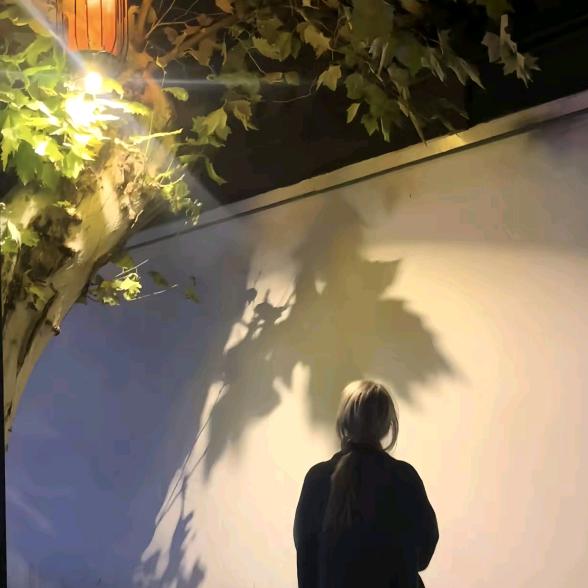 我看过你说想要时间停止🦥