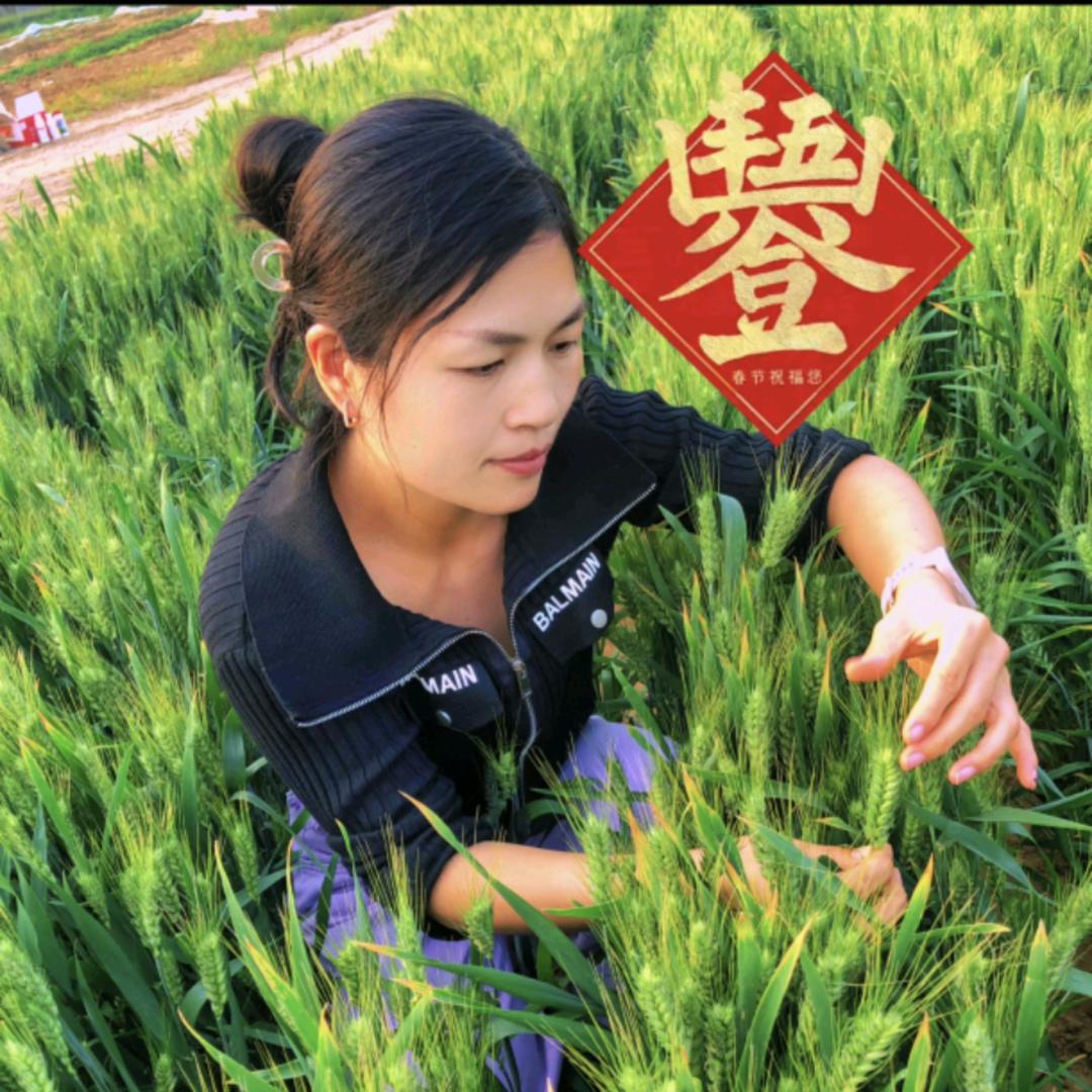 五谷丰登@农业