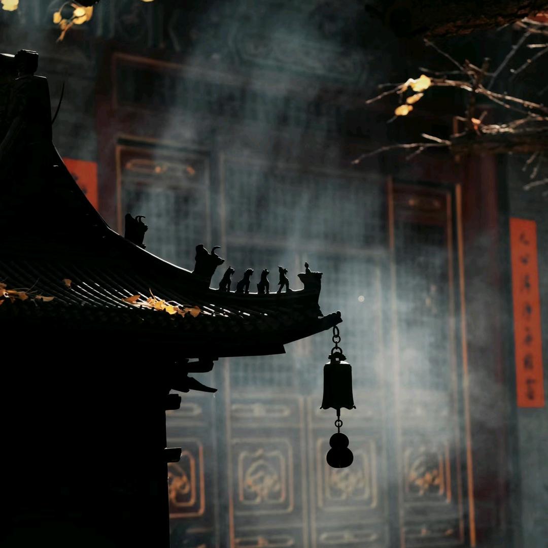 阁阁阁