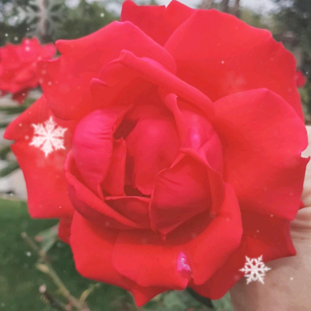 💞