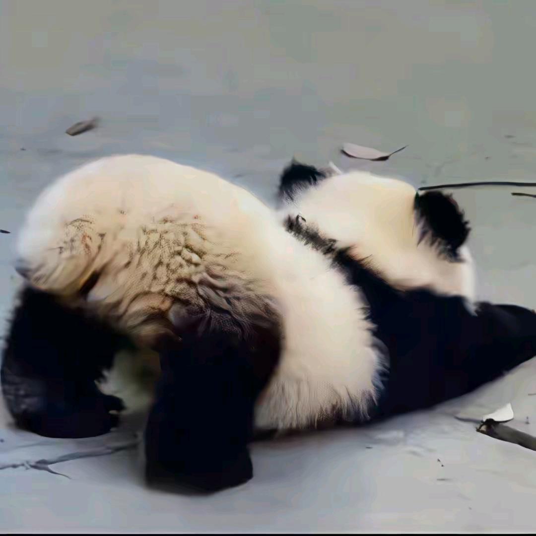 我德发