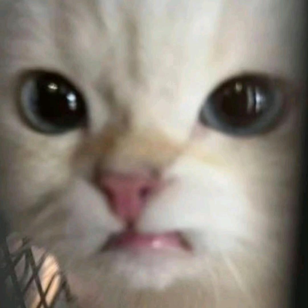 装装装装什么装！