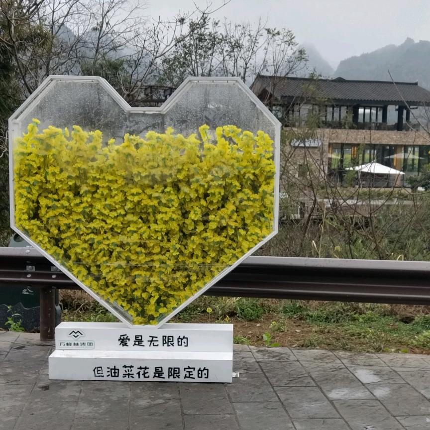开心每一天。