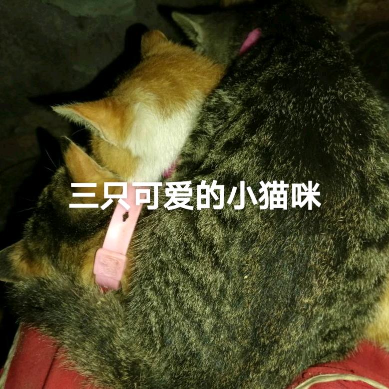 平平安安