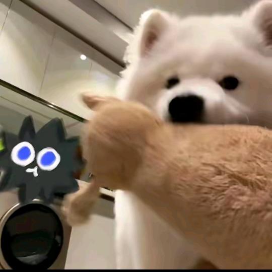 小武神赵龙