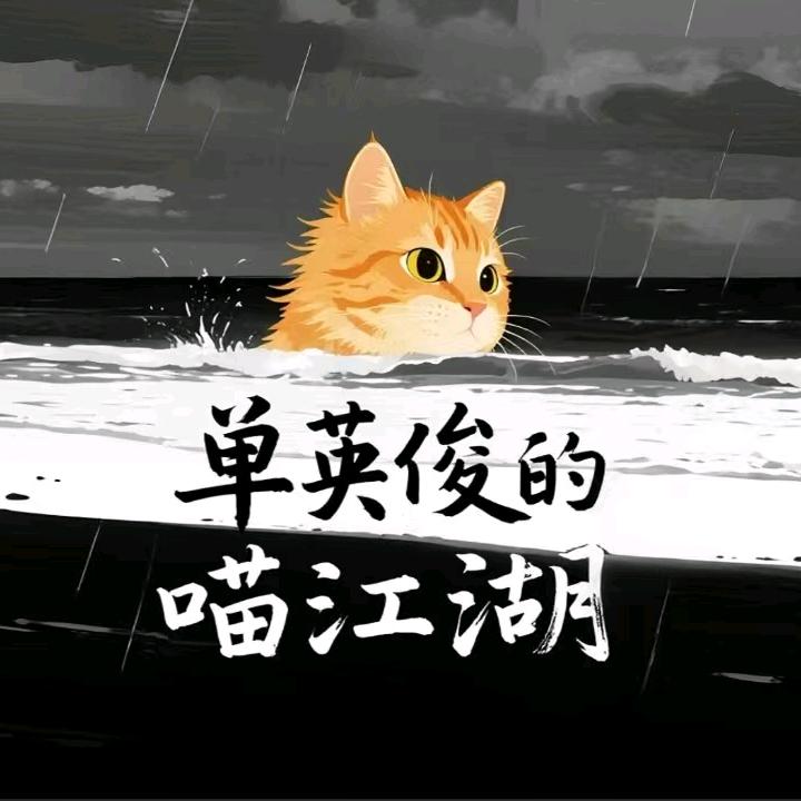 单英俊的喵江湖