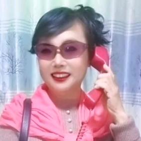 开心月季