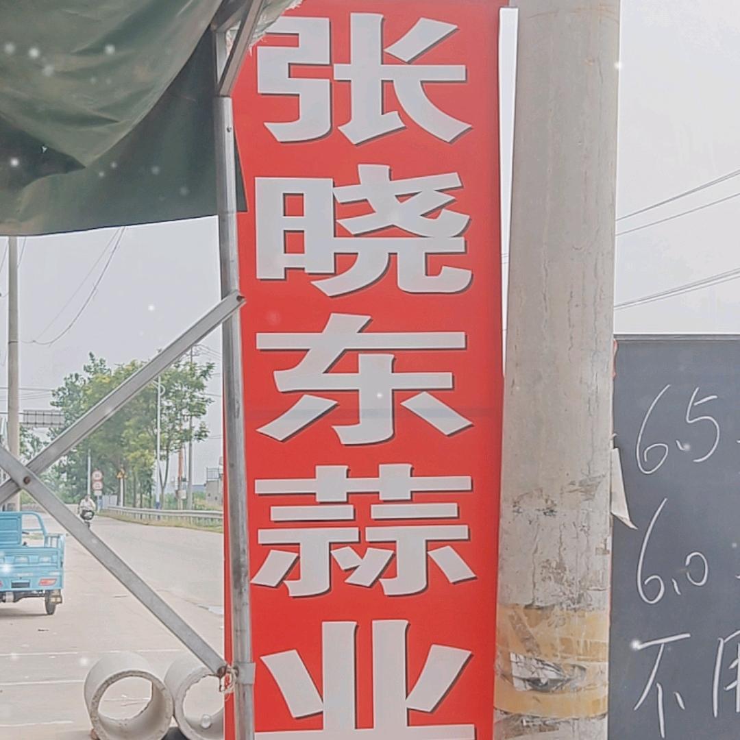 邳州赵墩城河张晓东蒜业