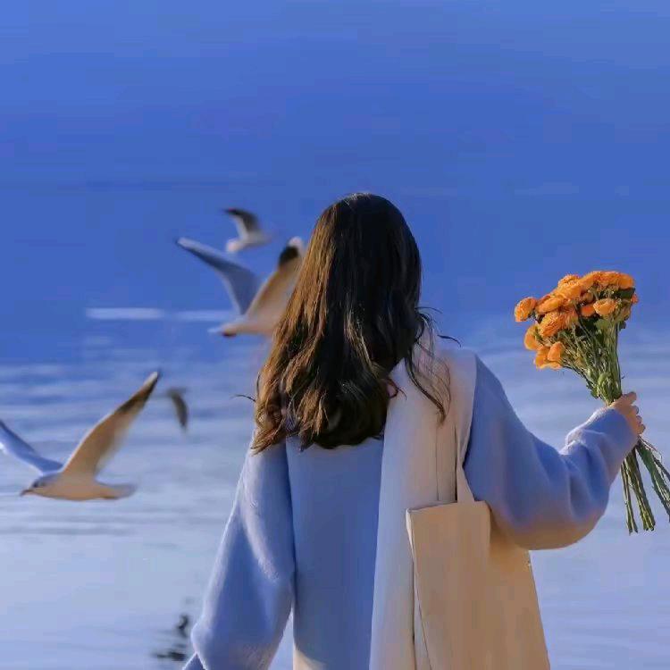 柠檬不蒙但很酸