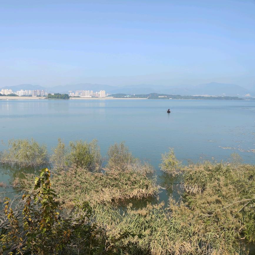 爱吃甜点的吃面人