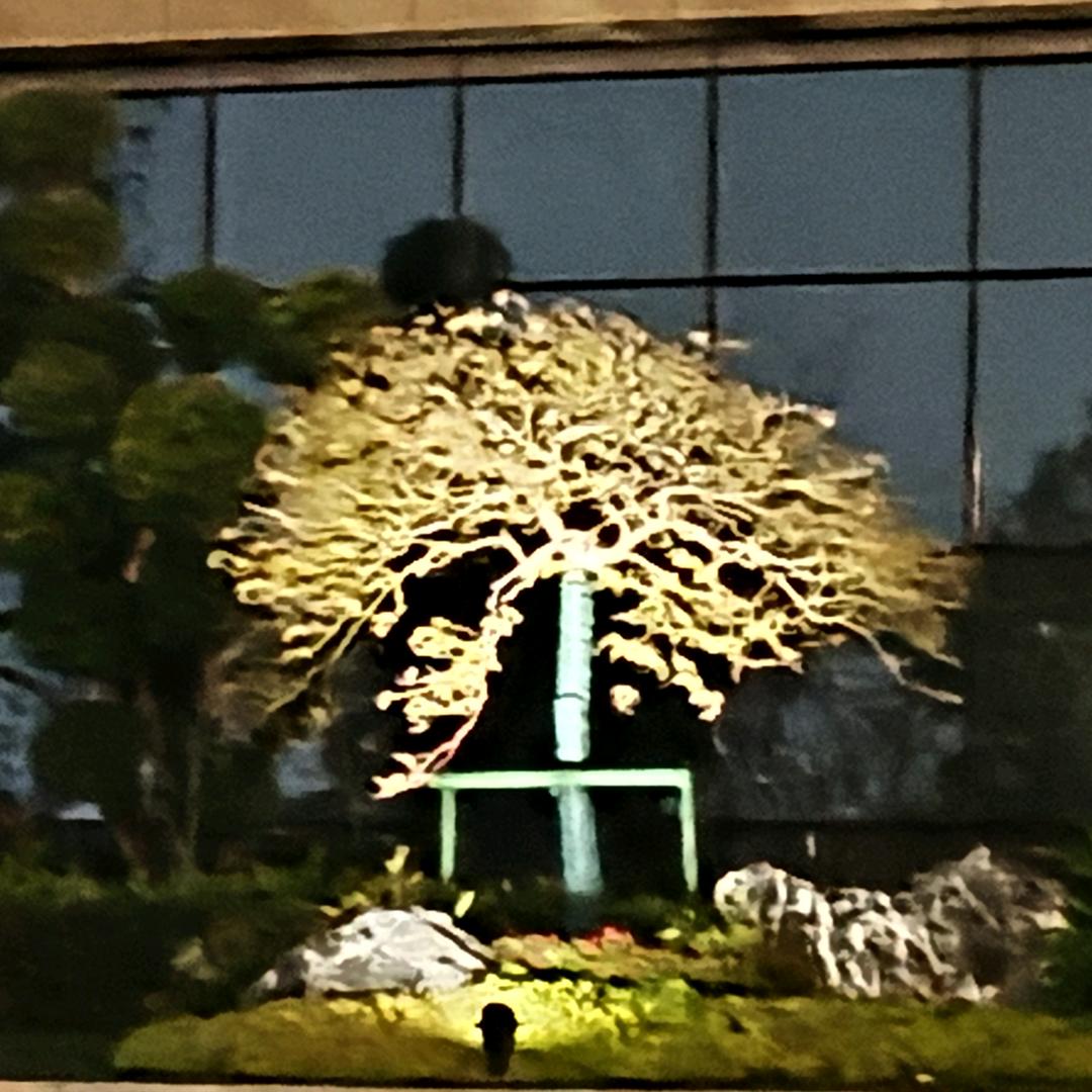 解结姐姐