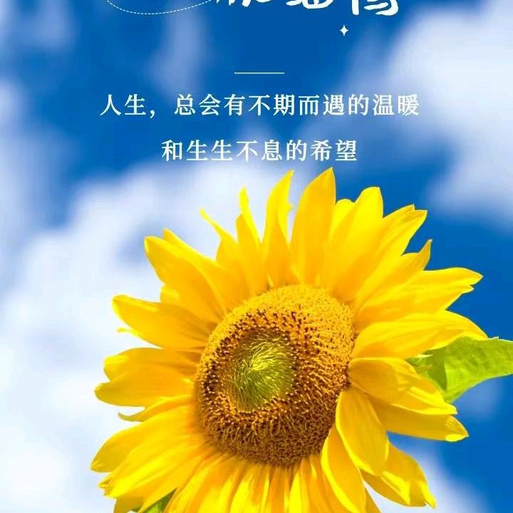 谢
