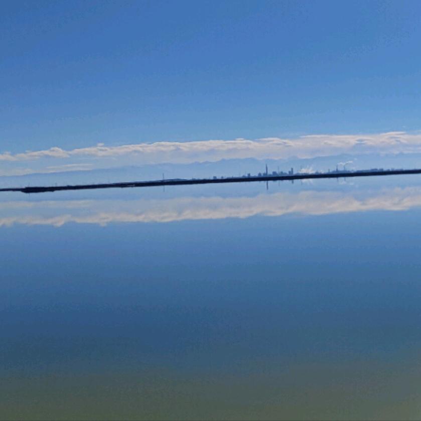 M.