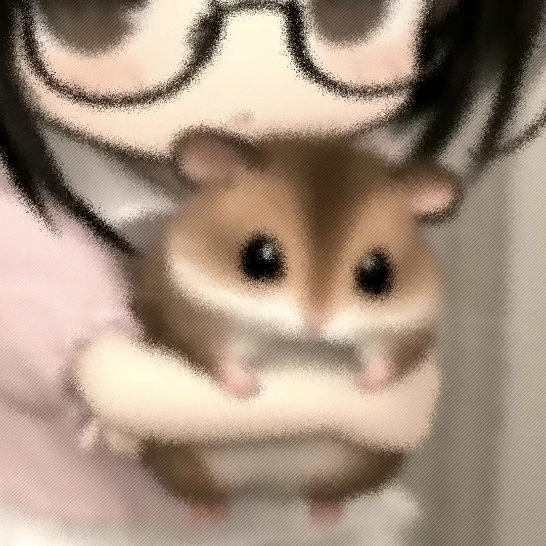 琪•᷄ࡇ•᷅