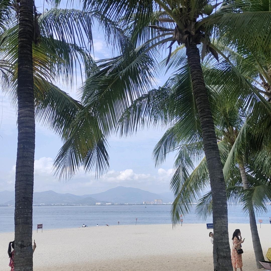 海新