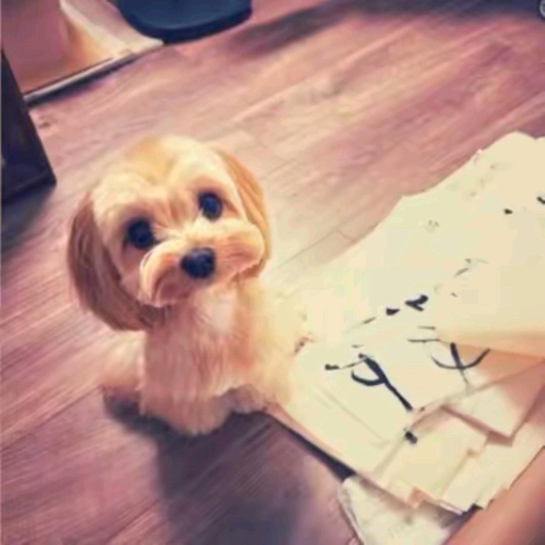你不懂摇滚