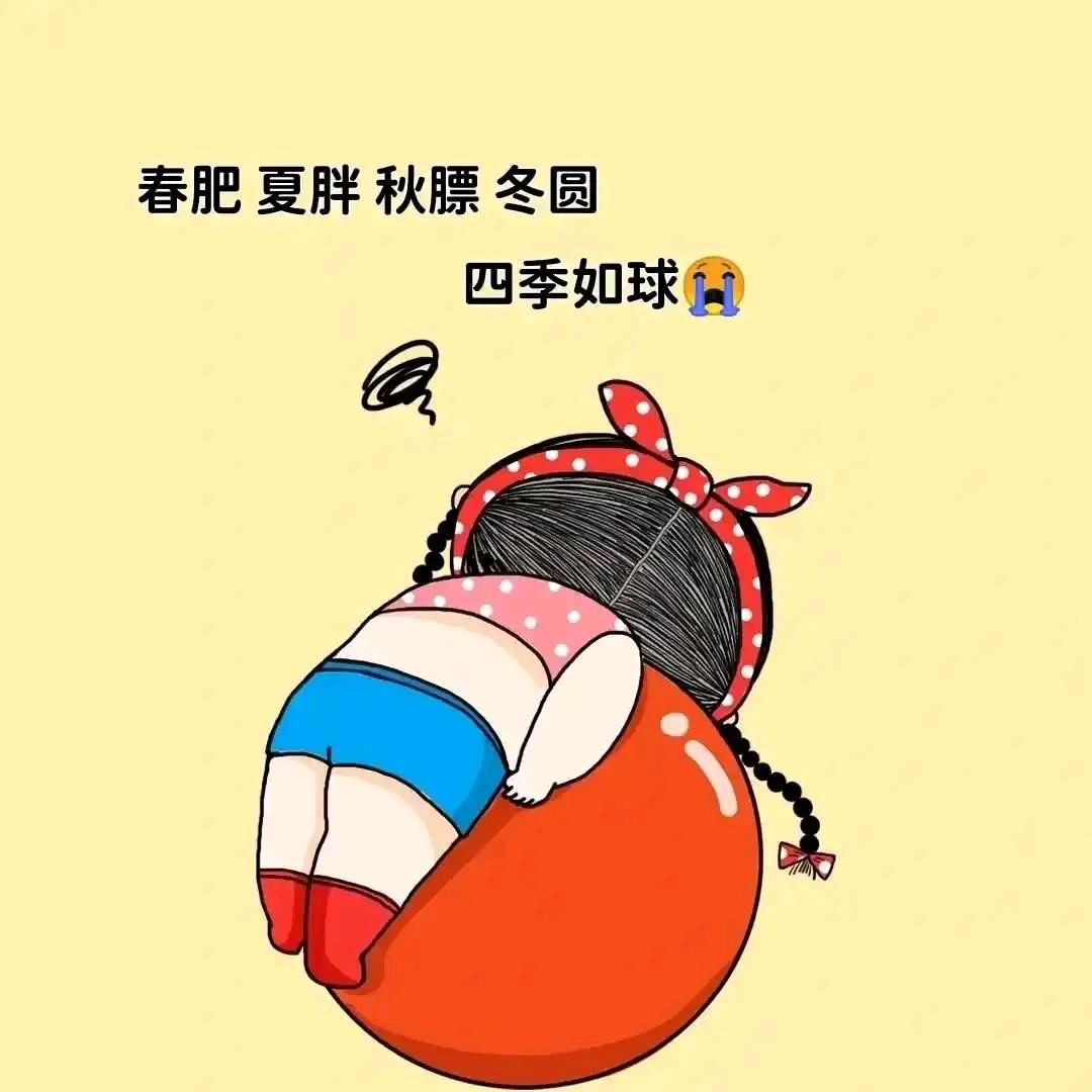 跑不动的猪