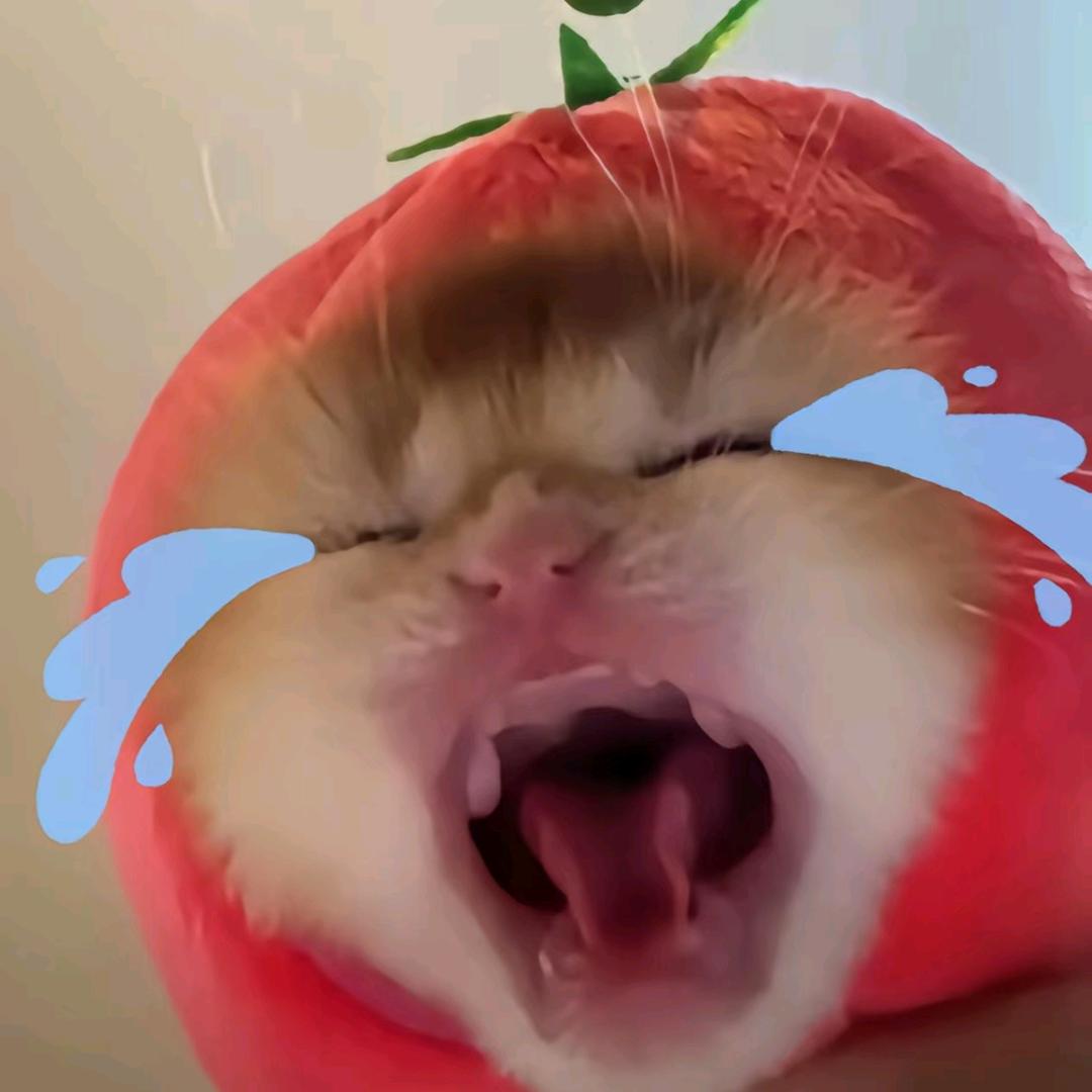 今天睡醒了