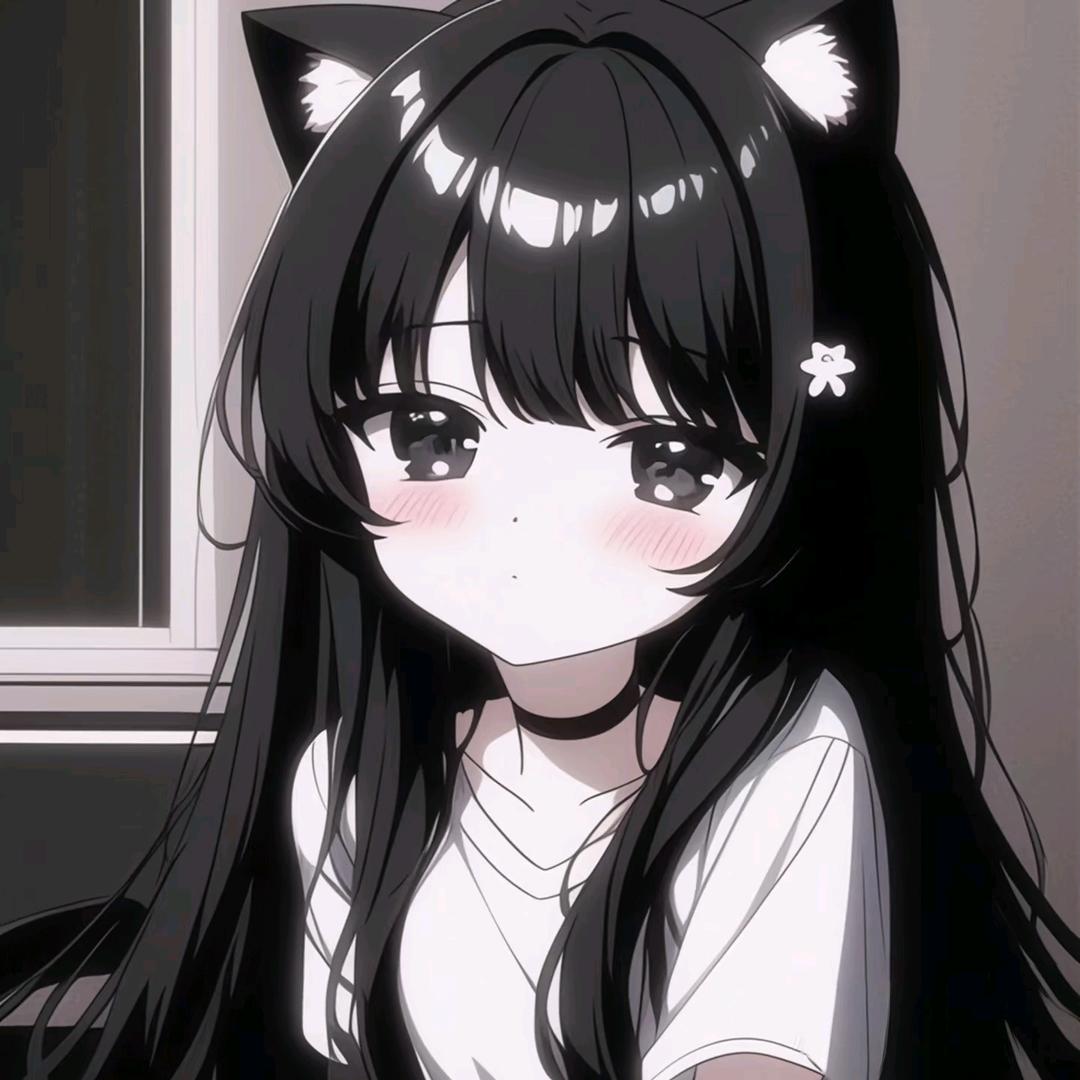 野猫🐾