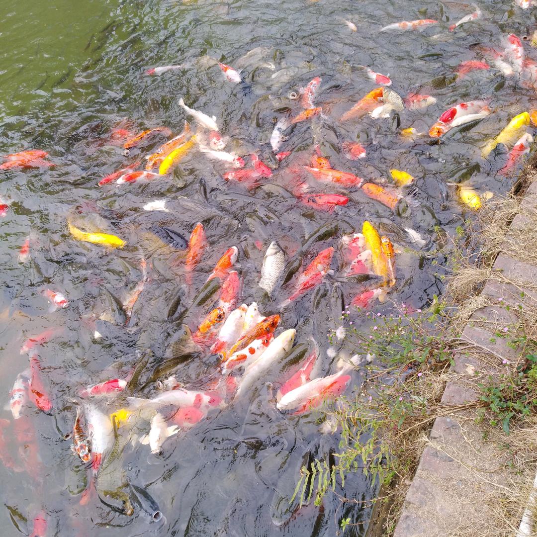 林老师8