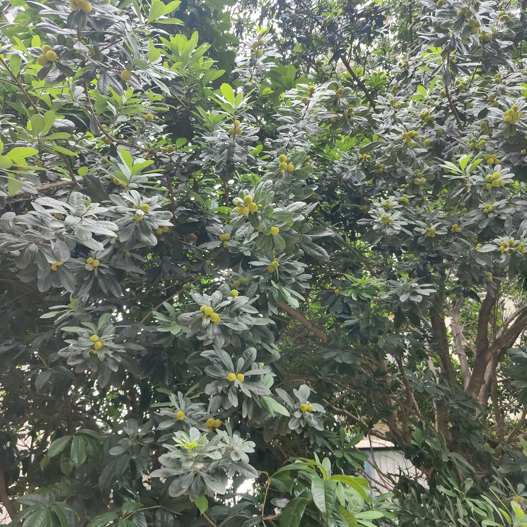 一人一世界