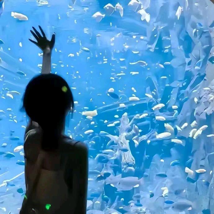 譇訫