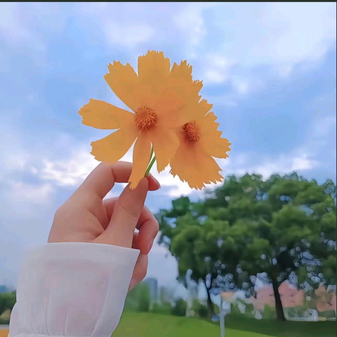 我的命运我做主520870711