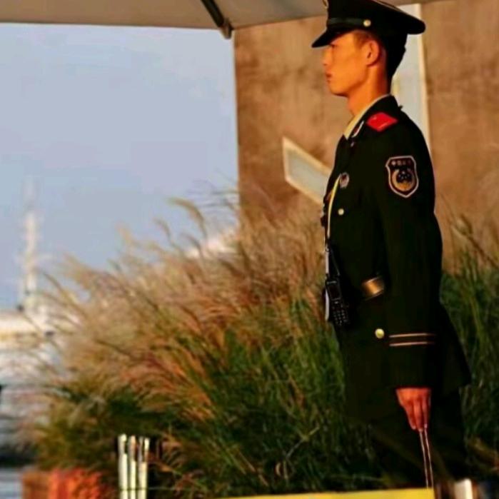 双子座壮哥